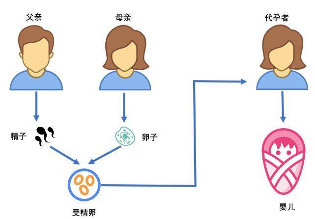 什么是代孕技术