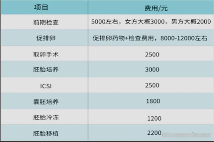 代孕产子公司费用